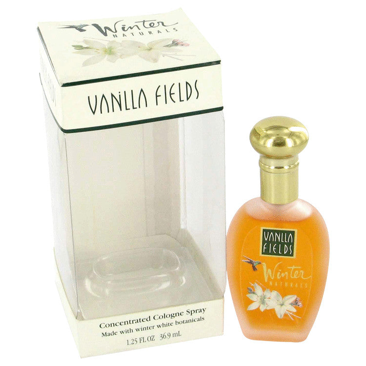 Vanilla Fields Winter