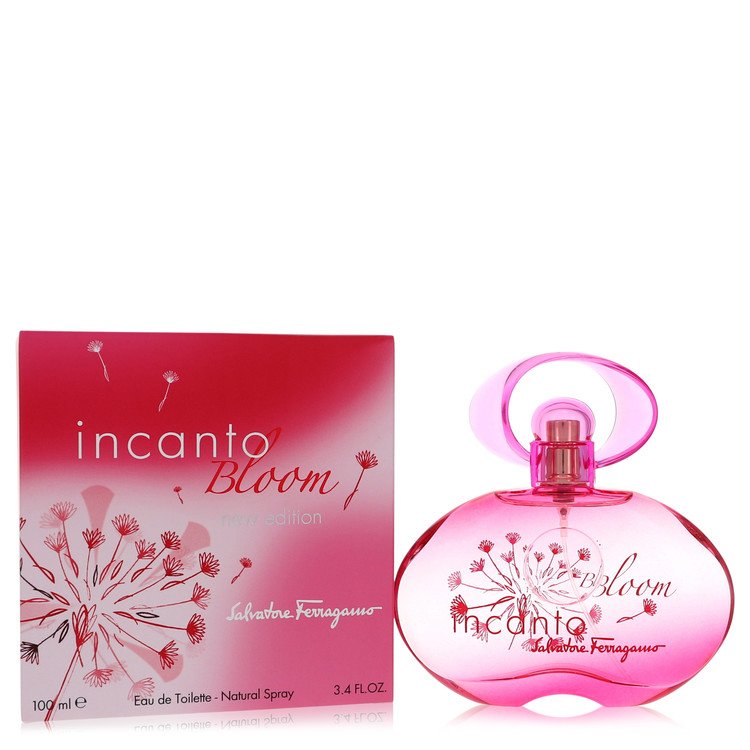 Incanto Bloom