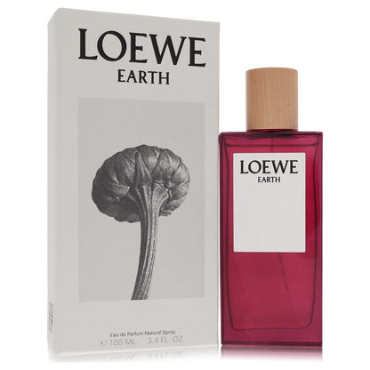 Loewe Earth