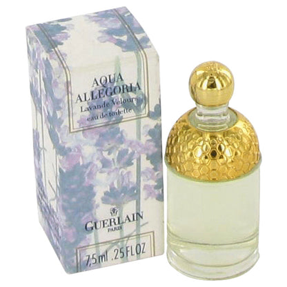 Aqua Allegoria Lavande Velours