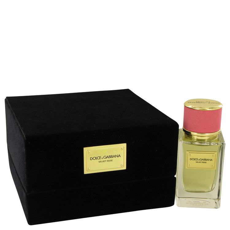 Dolce & Gabbana Velvet Rose