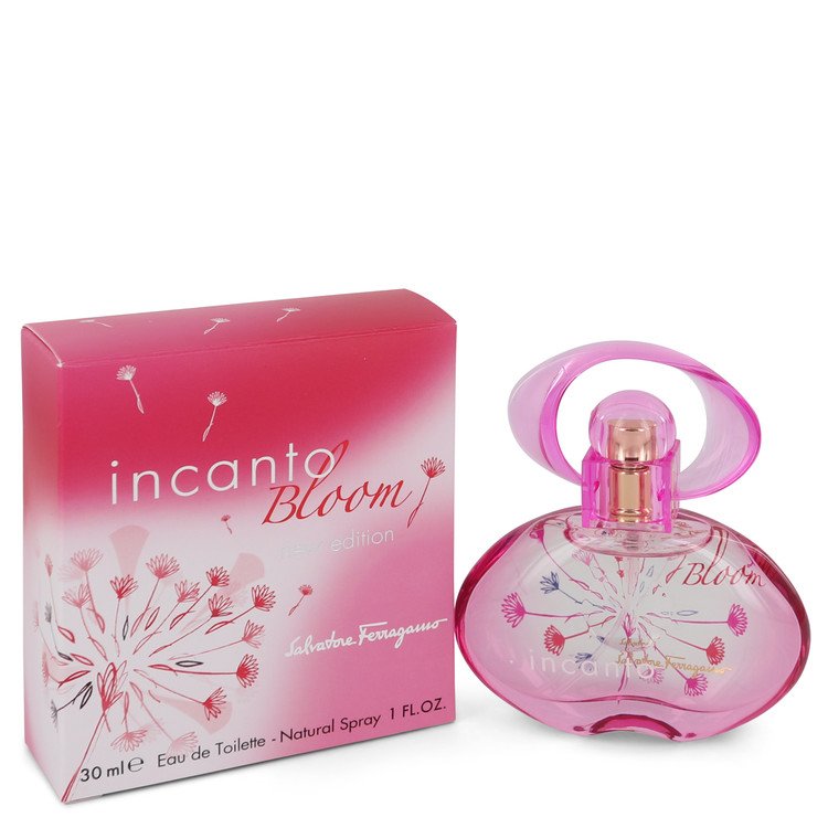 Incanto Bloom